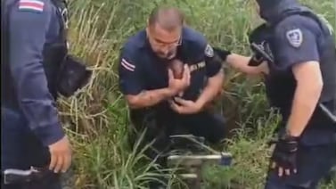 Bebé rescatado en Hatillo podría ser adoptado por una de las 76 familias aprobadas por el PANI