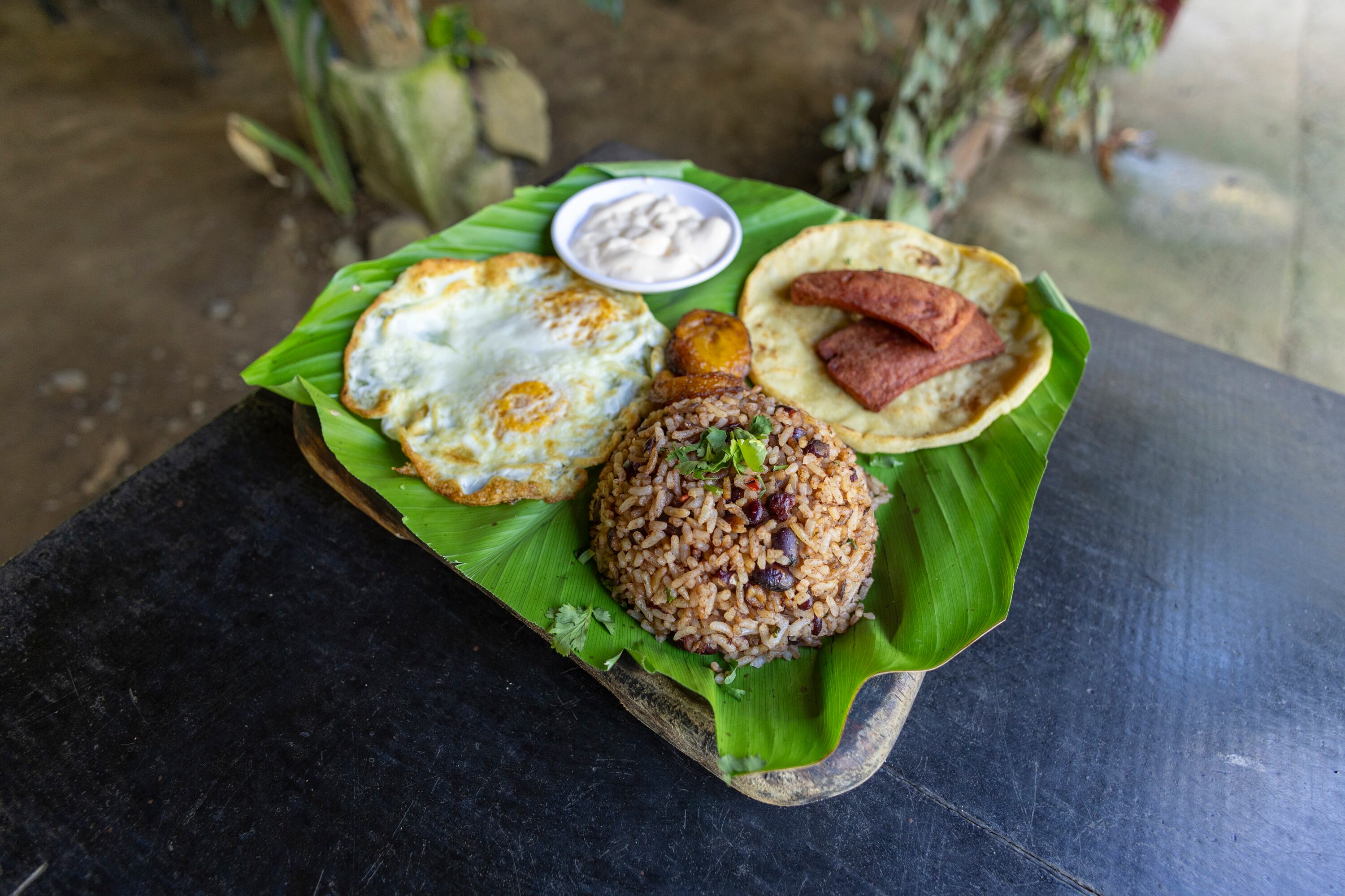 MATERIAL EXCLUSIVO DE LA TEJA.
27/02/2024, Puntarenas, Jacó y Quepos, recorrido por Carara Adventure Park y la Marina Pez Vela, para ver las atracciones que ofrecen al turismo nacional y extranjero.