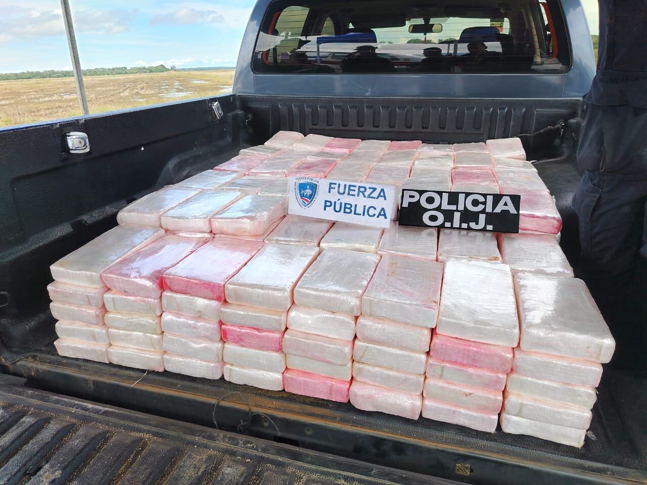 Decomisan 300 kilos de cocaína en una avioneta