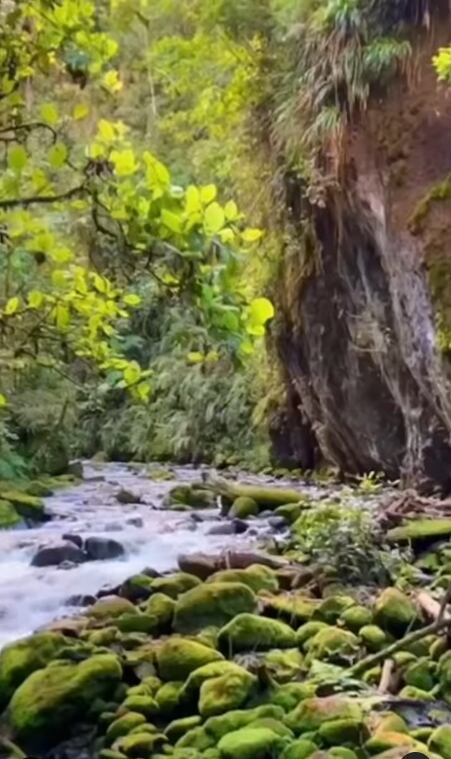 Mauricio Hoffmann y su novia Majo Ulate disfrutaron a más no poder en su viaje por el Parque Nacional Marino Ballena.