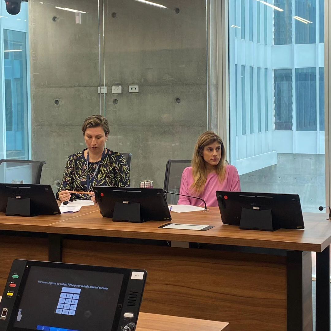 La diputada Andrea Álvarez compartió su deseo de ser madre.