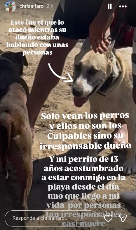 Austin Berry y su esposa Cristina Alfaro