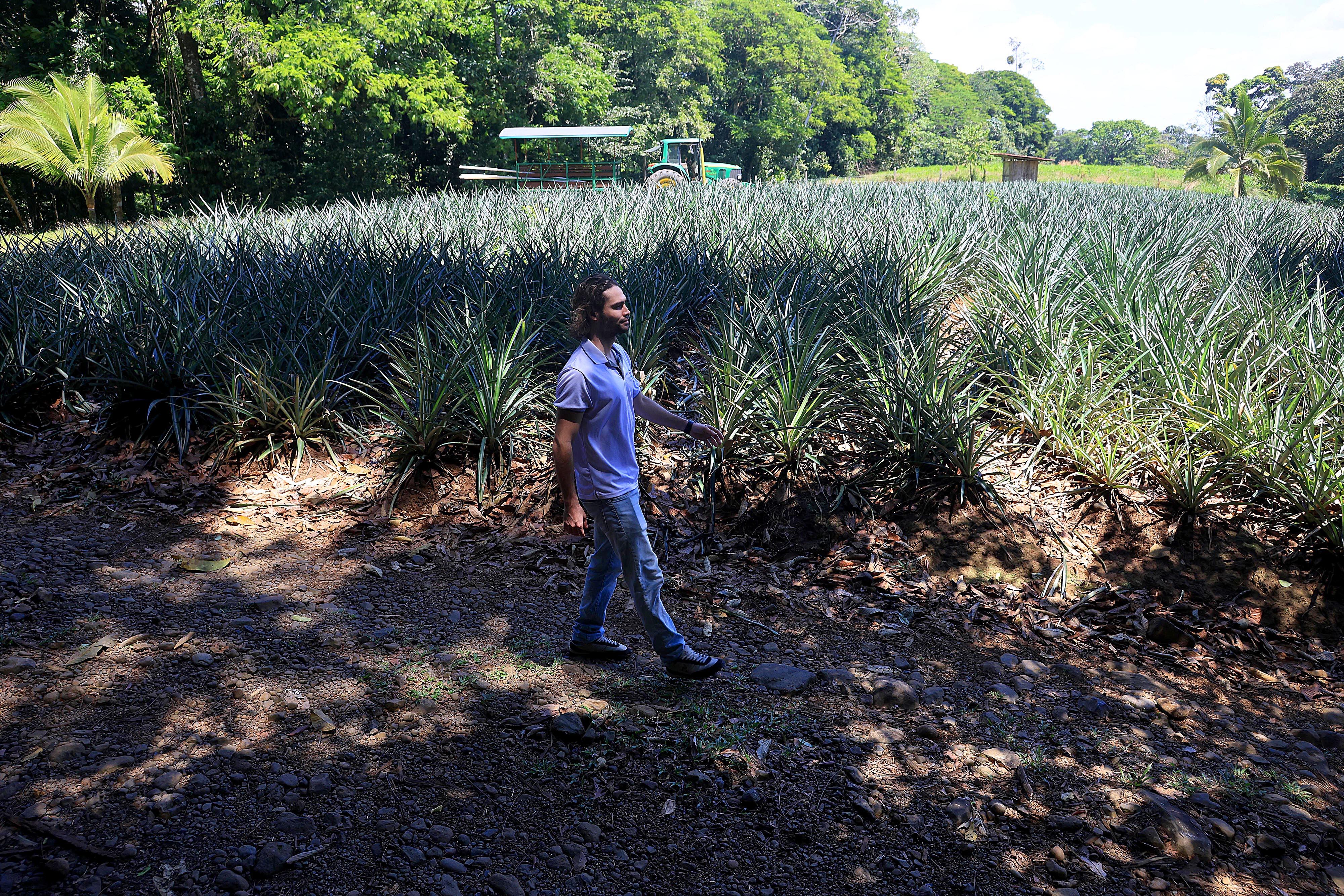 06/03/2024 Río Cuarto de Alajuela. Hotel del Bosque, ofrece caminatas por senderos naturales, servicio de restaurante, gimnasio, canchas y áreas al aire libre para practicar deporte, incluyendo una piscina natural. Foto: Rafael Pacheco Granados