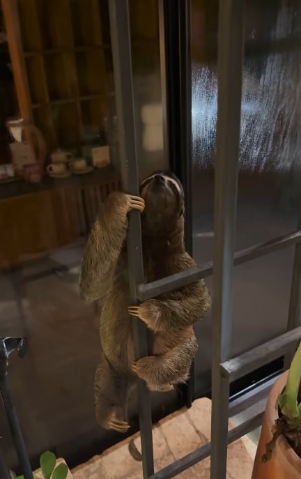 Rafa Pérez, presentador de Giros