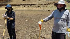 Voluntarios de oro puro trabajaron durísimo para limpiar el lago de La Sabana