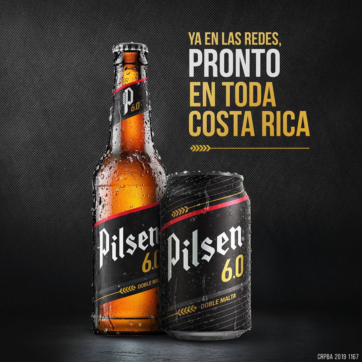Nueva Pilsen 6.0