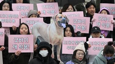 Corea del Sur le pone fin a la venta de carne de perro