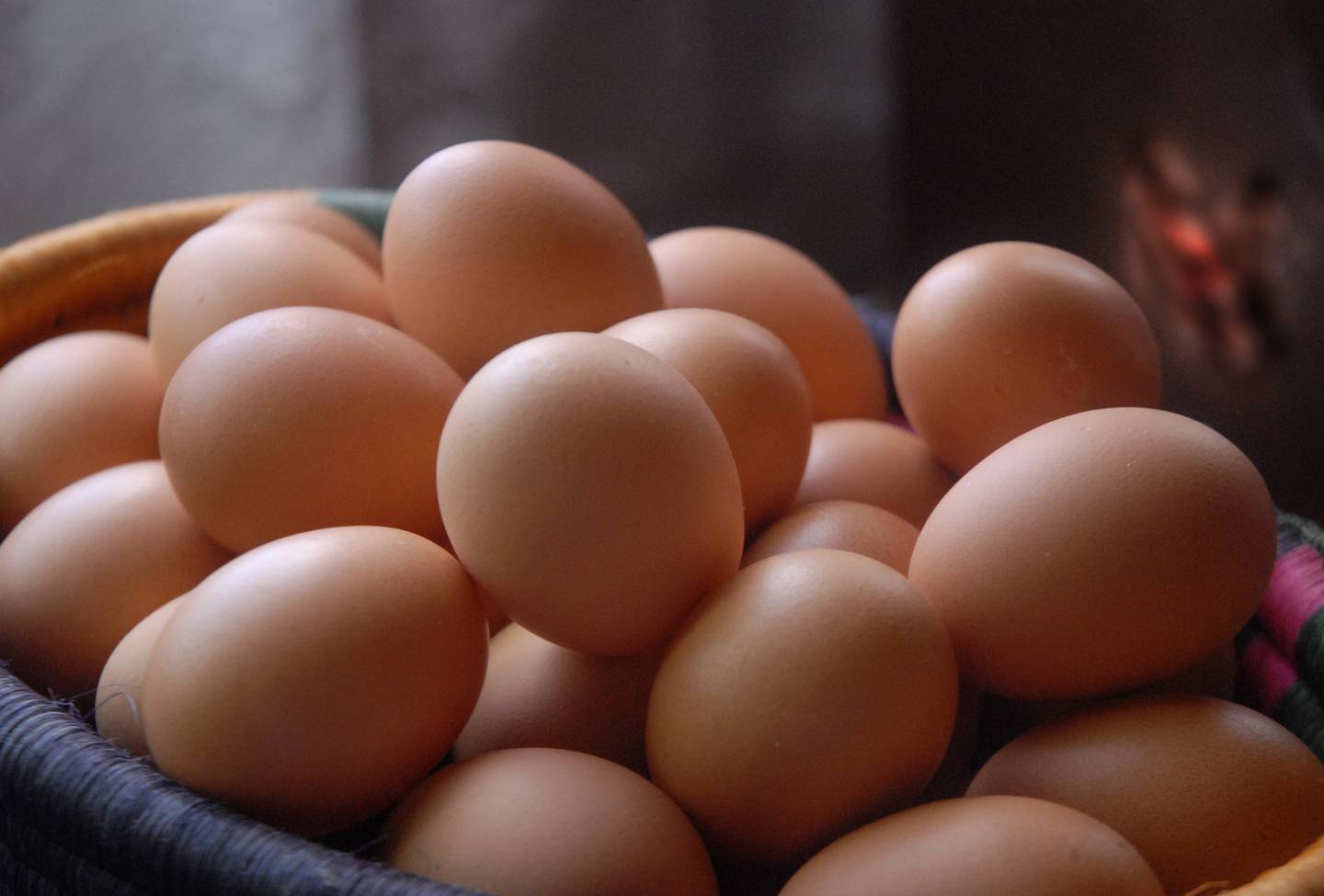 El Centro Nacional de Ciencias y Tecnología de Alimentos (CITA) de la UCR realizó un estudio de los huevos convencionales y de pastoreo, en el cual se demostró que sí hay diferencias en color, sabor y contaminación.