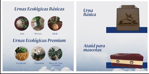 mascotas abre sus puertas en costa rica