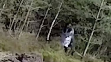 Terror en el bosque: Creen haber filmado al fantasma de “la niña de ojos negros” 