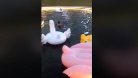 Quitan patos inflables de fuente de mall Oxígeno luego de sacar al primer “bañista”