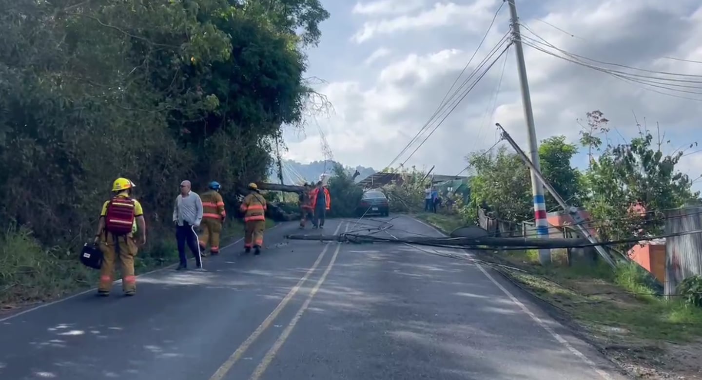 Paso entre Acosta y San José cerrado por caída de árbol, debido a los fuertes vientos. Foto: Bomberos