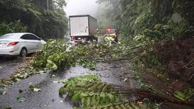 ¡Ande con cuidado! Ráfagas de hasta 101 kilómetros por hora han derribado árboles y cables