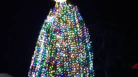 (Video) Siga en vivo la iluminación del árbol de Navidad del Hospital de Niños