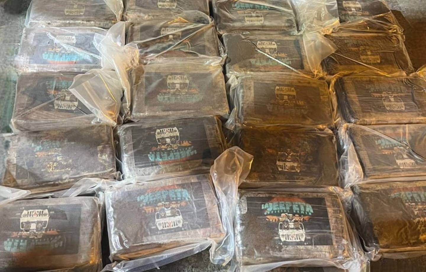 Decomisan 462 kilógramos de cocaína en contenedor en Limón. Foto MSP.